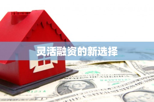 阿里山灵活融资的新选择