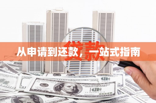 阿里山从申请到还款，一站式指南