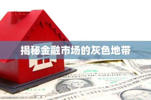 阿里山揭秘金融市场的灰色地带