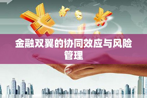 阿里山金融双翼的协同效应与风险管理
