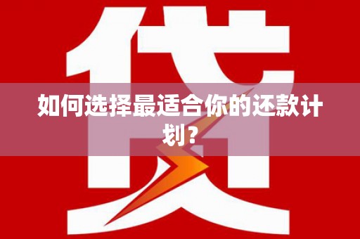 阿里山如何选择最适合你的还款计划？
