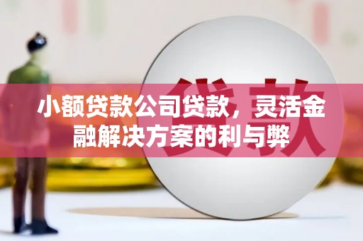 阿里山小额贷款公司贷款，灵活金融解决方案的利与弊